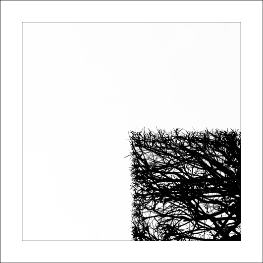 30x30-Arbres-1820-4_15