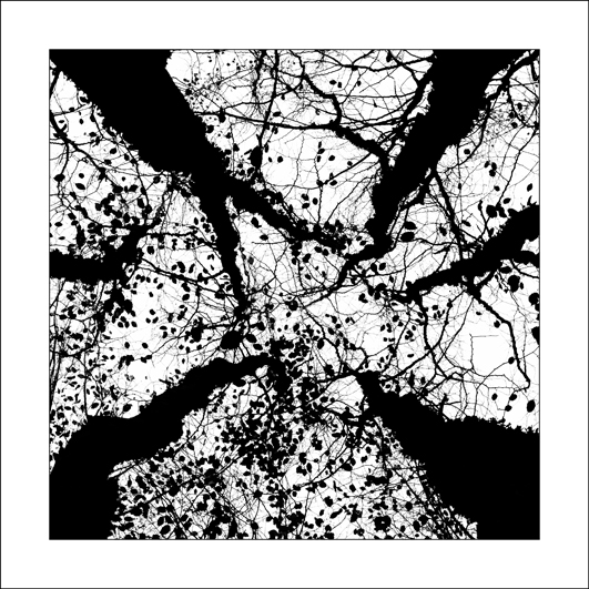 30x30-Arbres-7105a-2_5