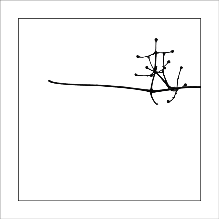 30x30-Silhouettes-3648-4_15