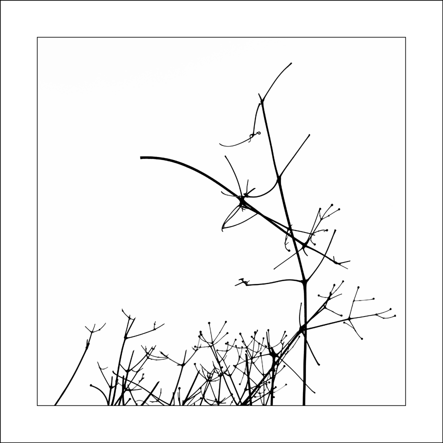 30x30-Silhouettes-3758-3_15