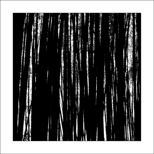 30x30-Silhouettes-5548-2_5